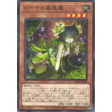 Traptrix Vesiculo - SD45-JP008 - Nova