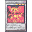 Red Rising Dragon - SD46-JPP04