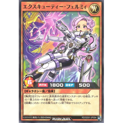 Executie Fermi - RD/SD01-JP004