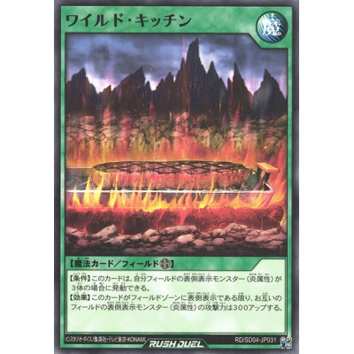 Wild Kitchen - RD/SD04-JP031