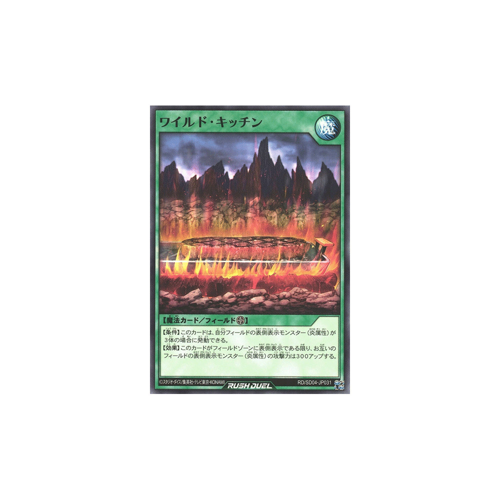 Wild Kitchen - RD/SD04-JP031
