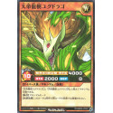 Yggdrago the Heavenly Emperor Dragon Tree - RD/SBD6-JP002