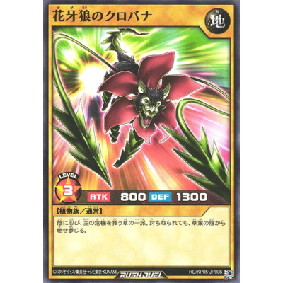 Flowerfang Wolf Kurobana - RD/KP05-JP006