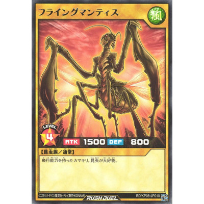 Flying Kamakiri 2 - RD/KP06-JP010