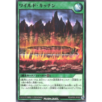 Wild Kitchen - RD/KP06-JP050