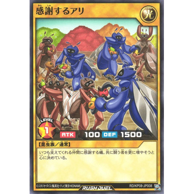 Thantsgiving - RD/KP08-JP008