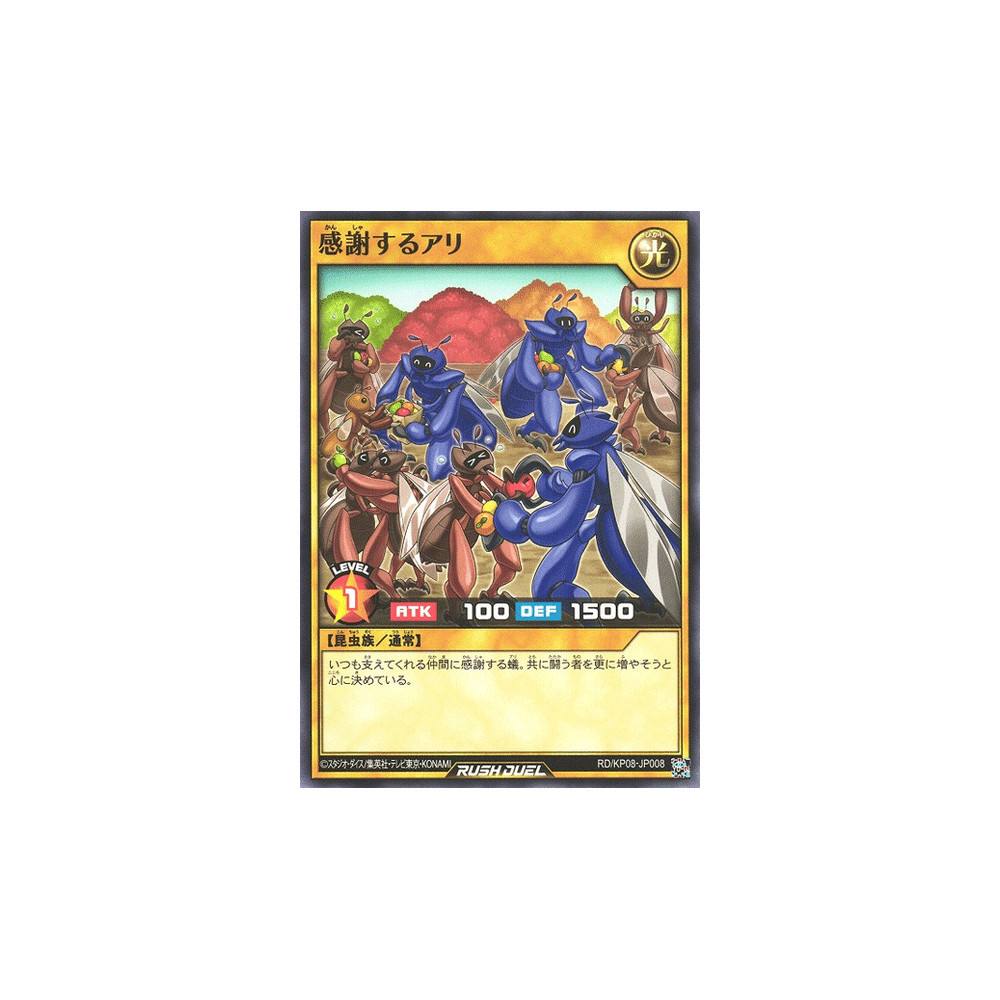 Thantsgiving - RD/KP08-JP008