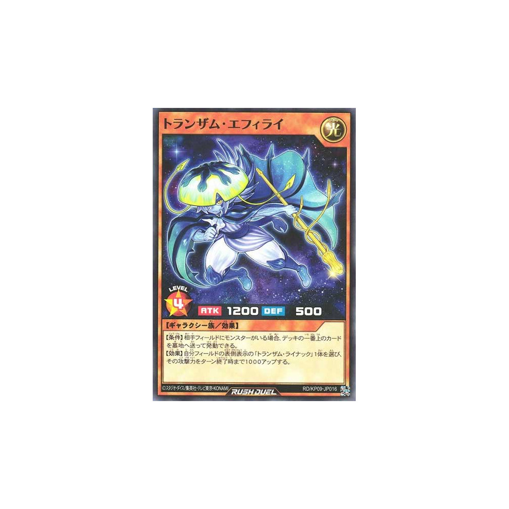 copy of Transamu Ephyrai - RD/KP09-JP016