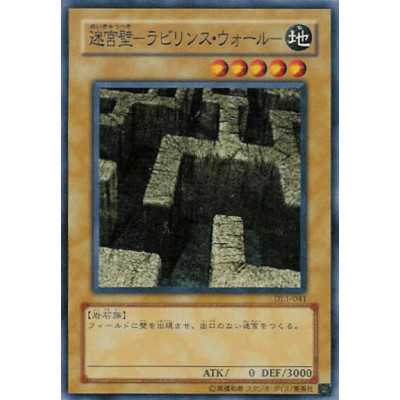 Labyrinth Wall - DL1-041