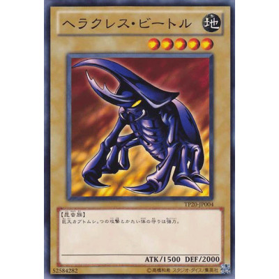 Hercules Beetle - TP20-JP004 - Nova
