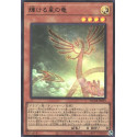 Shining Star Dragon - QCDB-JP003 - Ultra Rare