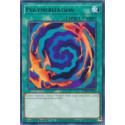 Polymerization - JUSH-EN014