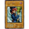 Witch's Apprentice - B6-