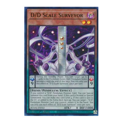 DD Scale Surveyor - BLMM-EN042