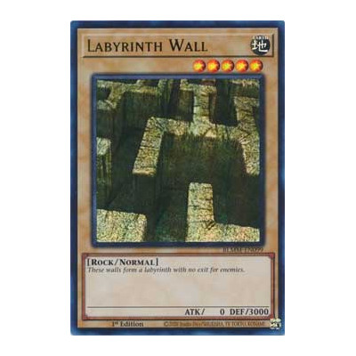 Labyrinth Wall - BLMM-EN099