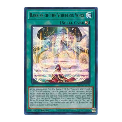 Barrier of the Voiceless Voice - MP25-EN170