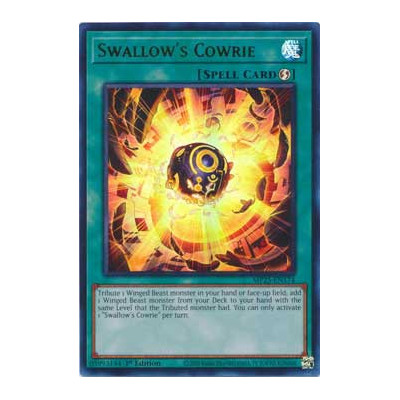 Swallow's Cowrie - MP25-EN174