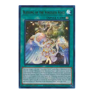 Blessing of the Voiceless Voice - MP25-EN198