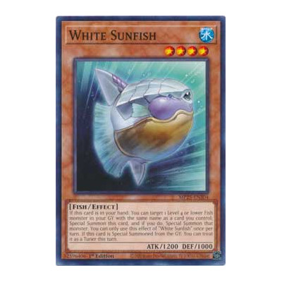 White Sunfish - MP25-EN304