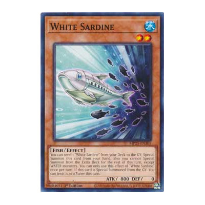 White Sardine - MP25-EN305