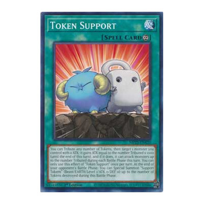 Token Support - MP25-EN420