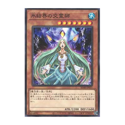 Medium of the Ice Barrier - SD40-JP015