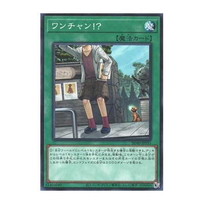 Where Arf Thou? - SD40-JP033