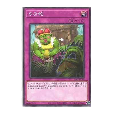 Waking the Dragon - SD43-JP040