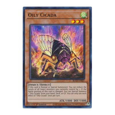 Oily Cicada - BLCR-EN027
