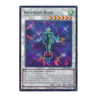Splendid Rose - L5DD-ENA27