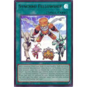 Synchro Fellowship - L5DD-ENY05