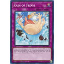Rain of Frogs - BPRO-EN086