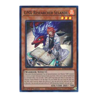 GMX Researcher Selande - BPRO-EN090