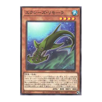 Xyz Remora - DP26-JP009