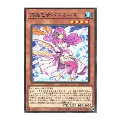 Marincess Pascalus - DP26-JP039