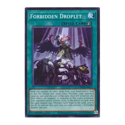 Forbidden Droplet - L26D-ENM13