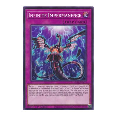 Infinite Impermanence - L26D-ENM19