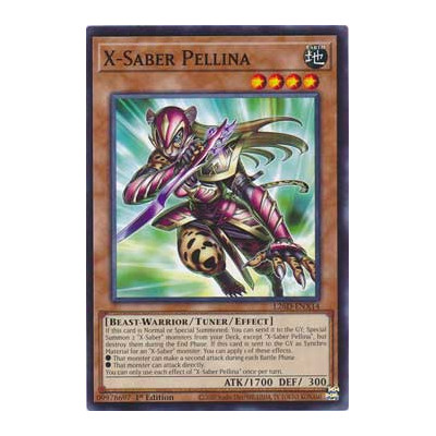 X-Saber Pellina - L26D-ENX14