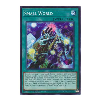 Small World - L26D-ENX23