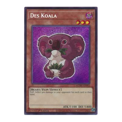 Des Koala - MZMU-EN062
