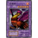 Crimson Sunbird - B6-46696593