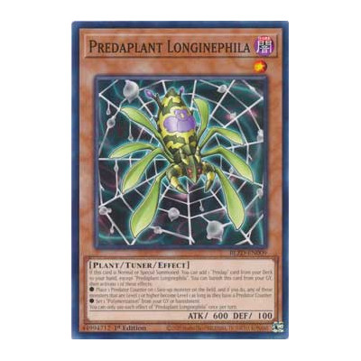 Predaplant Longinephila - BLZD-EN009