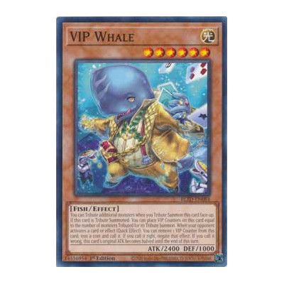 VIP Whale - BLZD-EN084