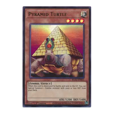 Pyramid Turtle - BLGG-EN053