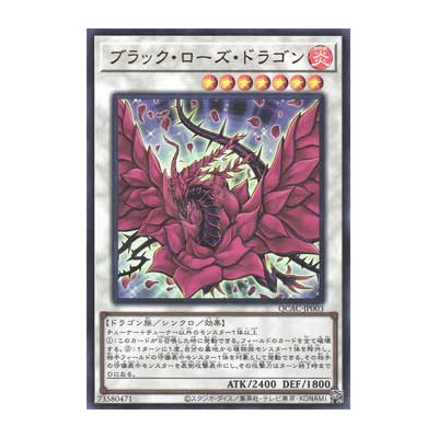 Black Rose Dragon - QCAC-JP003