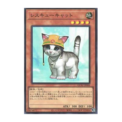 Rescue Cat - QCAC-JP006