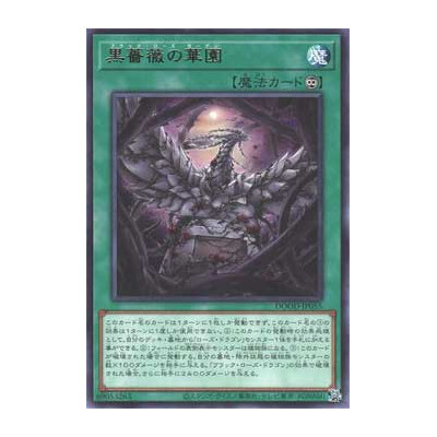 Black Rose Garden - DOOD-JP055