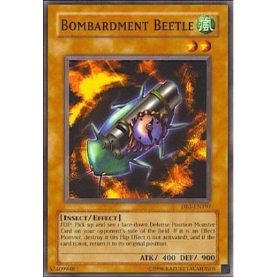 Bombardment Beetle