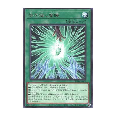 Guilt-Gripping Morganite - DUAD-JP070