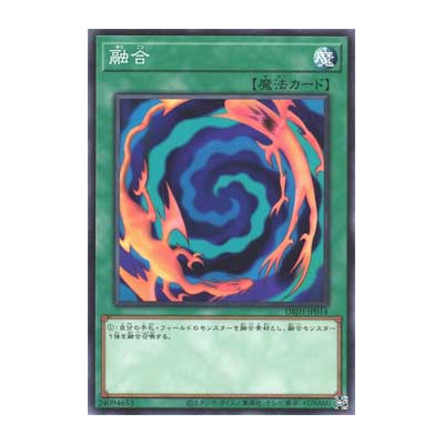 Polymerization - DBJH-JP014